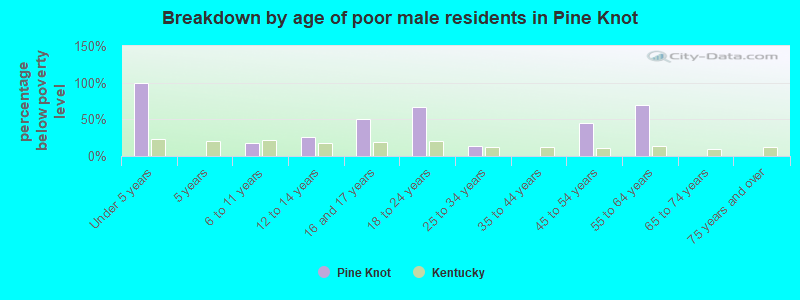 Breakdown by age of poor male residents in Pine Knot