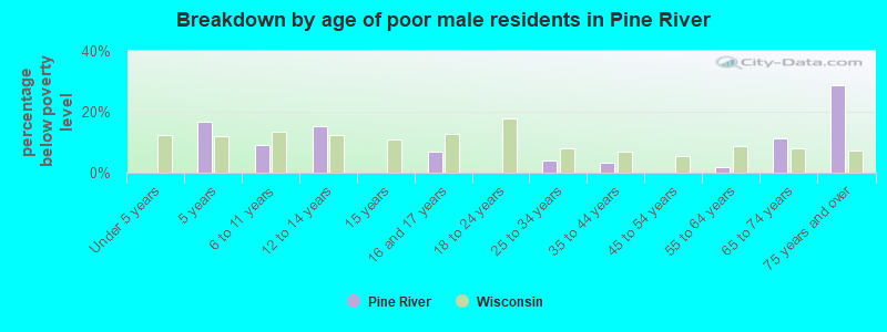 Breakdown by age of poor male residents in Pine River