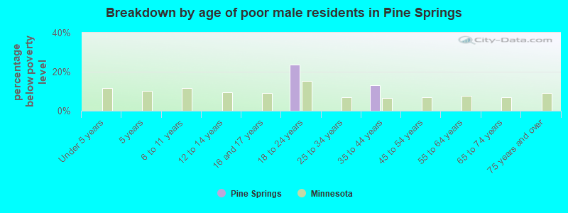 Breakdown by age of poor male residents in Pine Springs