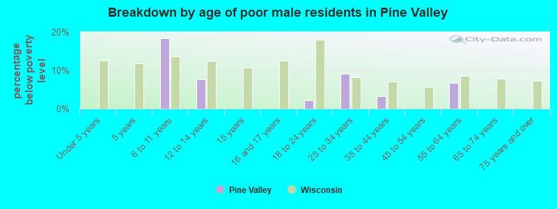 Breakdown by age of poor male residents in Pine Valley