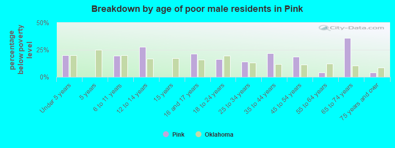 Breakdown by age of poor male residents in Pink