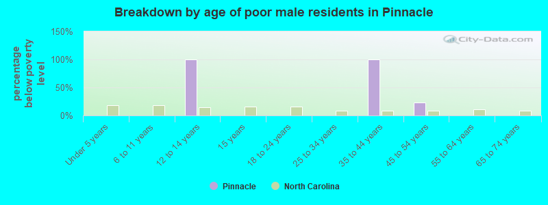 Breakdown by age of poor male residents in Pinnacle
