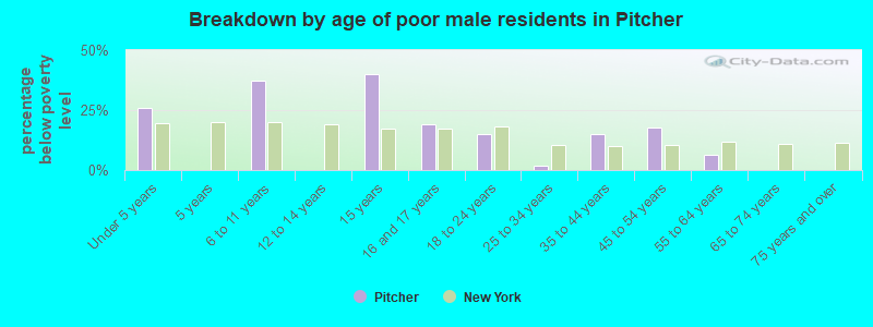 Breakdown by age of poor male residents in Pitcher