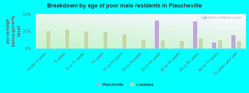 Breakdown by age of poor male residents in Plaucheville