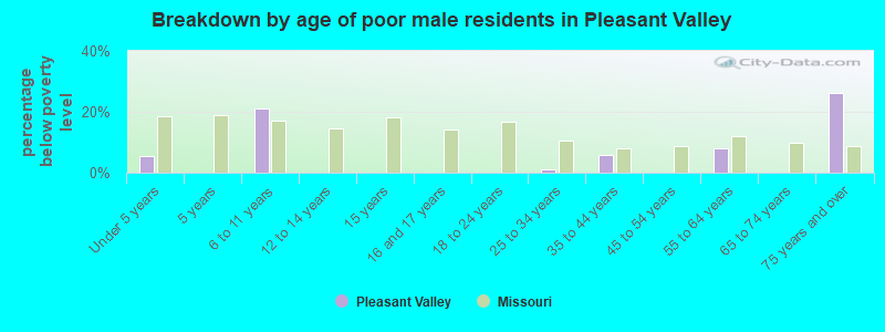 Breakdown by age of poor male residents in Pleasant Valley