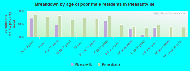Breakdown by age of poor male residents in Pleasantville