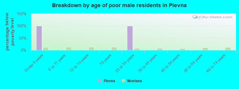 Breakdown by age of poor male residents in Plevna