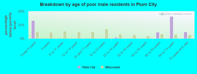 Breakdown by age of poor male residents in Plum City