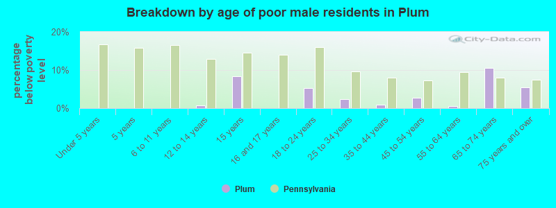 Breakdown by age of poor male residents in Plum