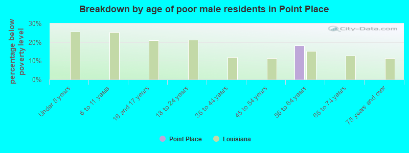 Breakdown by age of poor male residents in Point Place