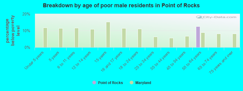 Breakdown by age of poor male residents in Point of Rocks