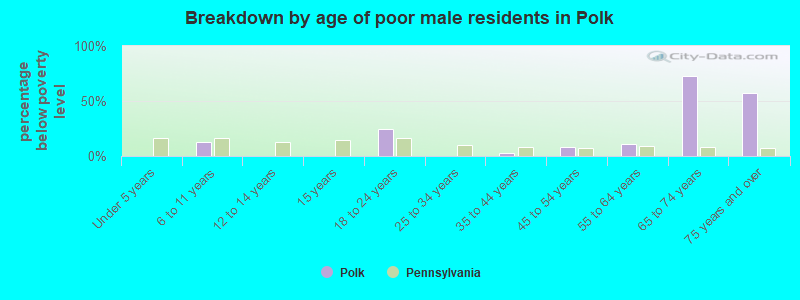 Breakdown by age of poor male residents in Polk