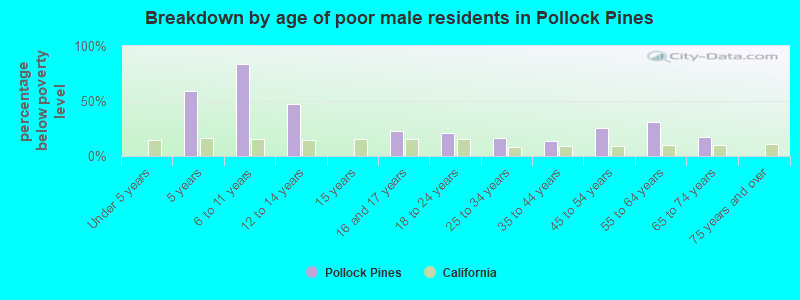 Breakdown by age of poor male residents in Pollock Pines