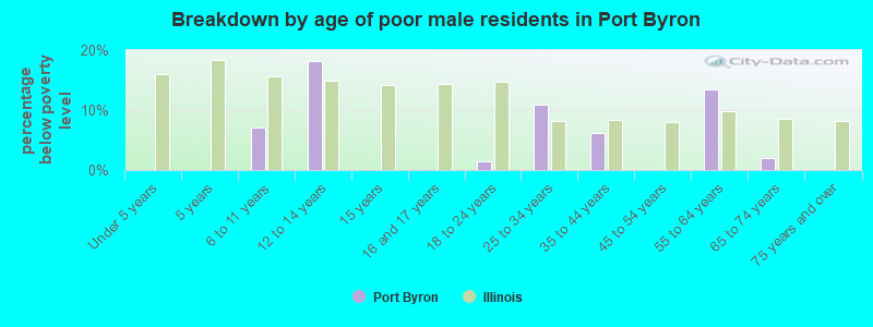 Breakdown by age of poor male residents in Port Byron