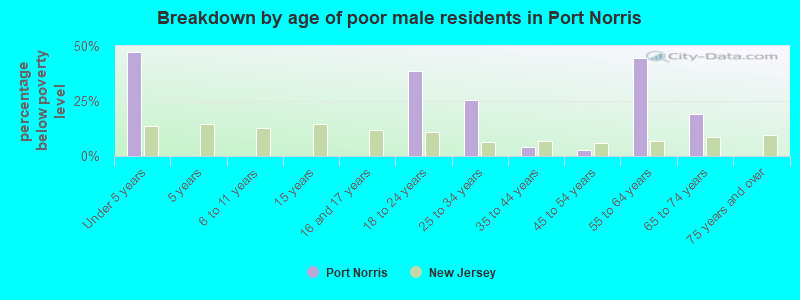 Breakdown by age of poor male residents in Port Norris