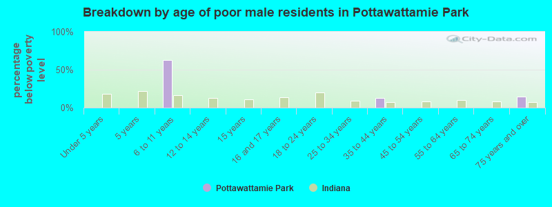 Breakdown by age of poor male residents in Pottawattamie Park