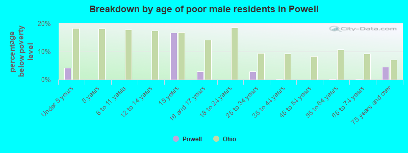 Breakdown by age of poor male residents in Powell
