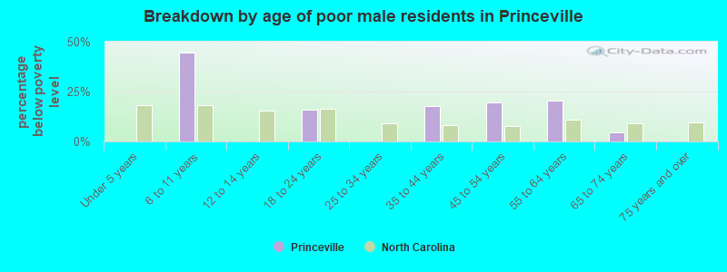 Breakdown by age of poor male residents in Princeville