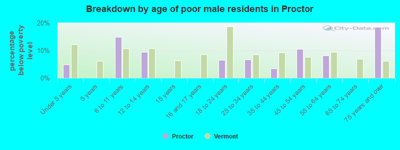 Breakdown by age of poor male residents in Proctor