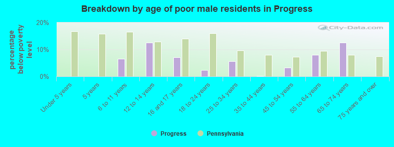 Breakdown by age of poor male residents in Progress
