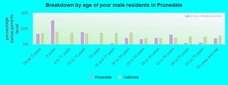 Breakdown by age of poor male residents in Prunedale