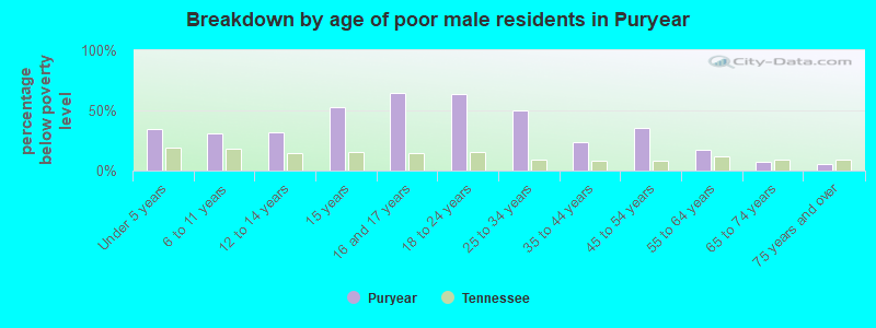 Breakdown by age of poor male residents in Puryear