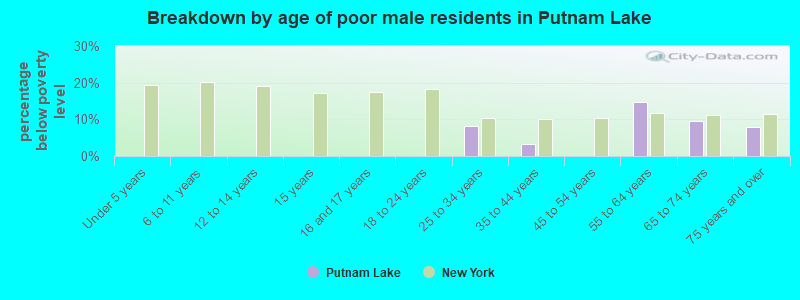 Breakdown by age of poor male residents in Putnam Lake