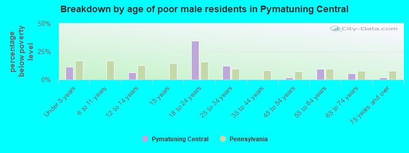Breakdown by age of poor male residents in Pymatuning Central
