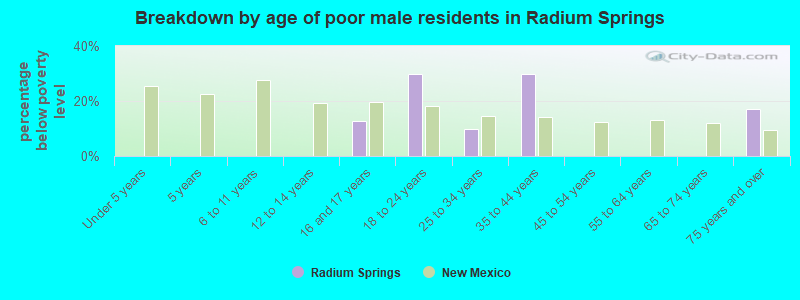 Breakdown by age of poor male residents in Radium Springs