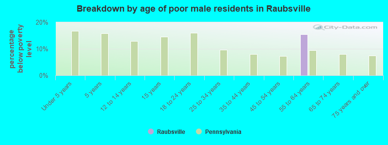 Breakdown by age of poor male residents in Raubsville