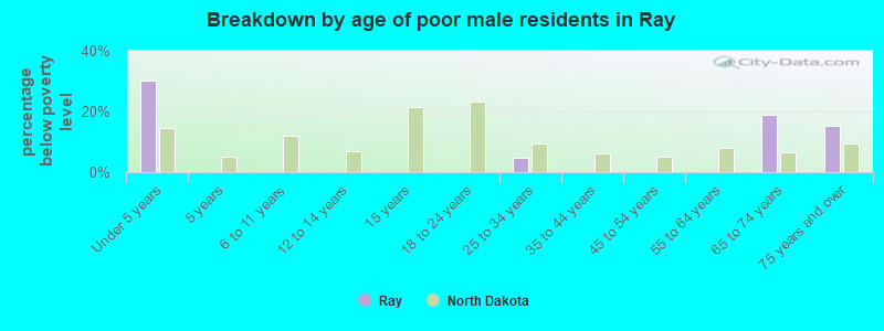 Breakdown by age of poor male residents in Ray