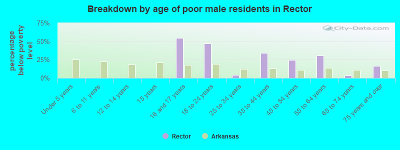 Breakdown by age of poor male residents in Rector