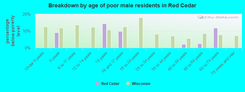 Breakdown by age of poor male residents in Red Cedar
