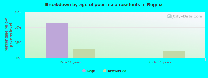 Breakdown by age of poor male residents in Regina
