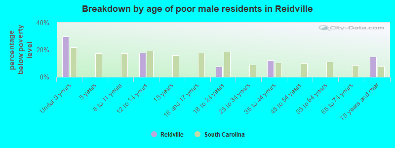 Breakdown by age of poor male residents in Reidville