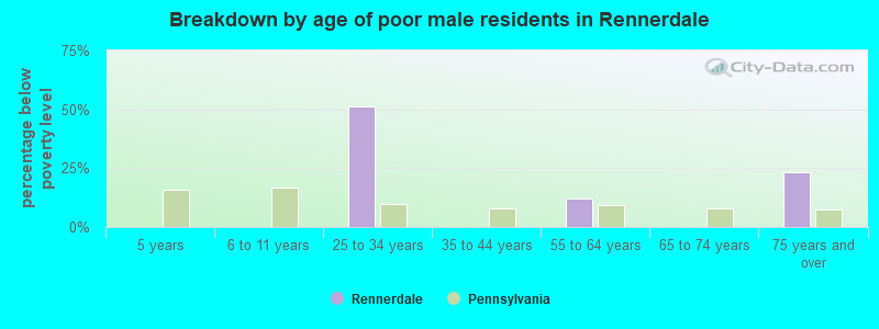 Breakdown by age of poor male residents in Rennerdale