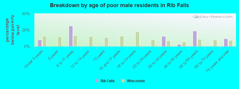 Breakdown by age of poor male residents in Rib Falls