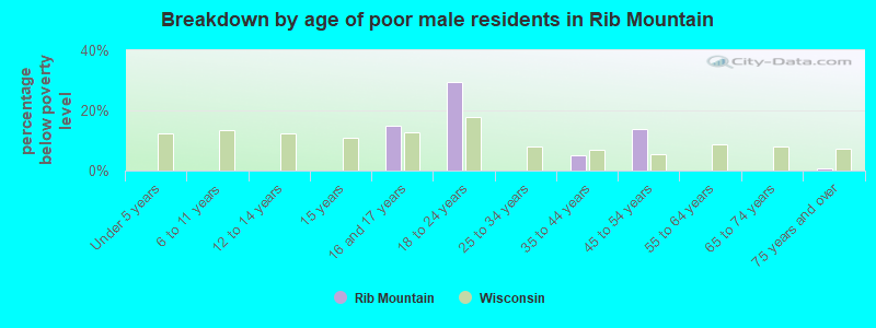 Breakdown by age of poor male residents in Rib Mountain