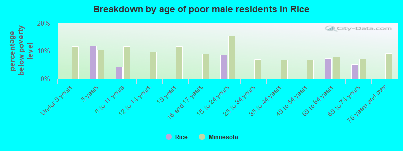 Breakdown by age of poor male residents in Rice
