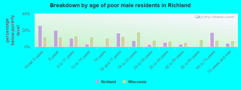 Breakdown by age of poor male residents in Richland