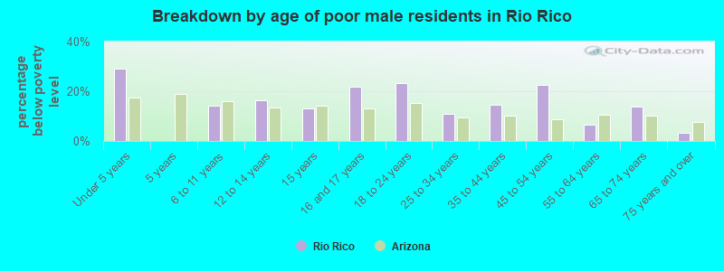 Breakdown by age of poor male residents in Rio Rico