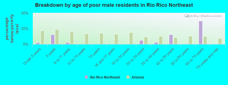 Breakdown by age of poor male residents in Rio Rico Northeast
