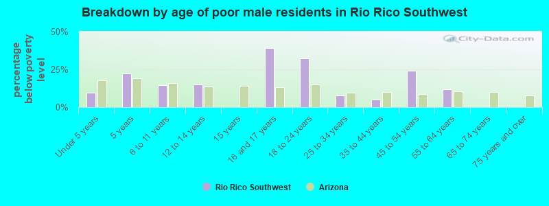 Breakdown by age of poor male residents in Rio Rico Southwest