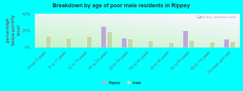 Breakdown by age of poor male residents in Rippey