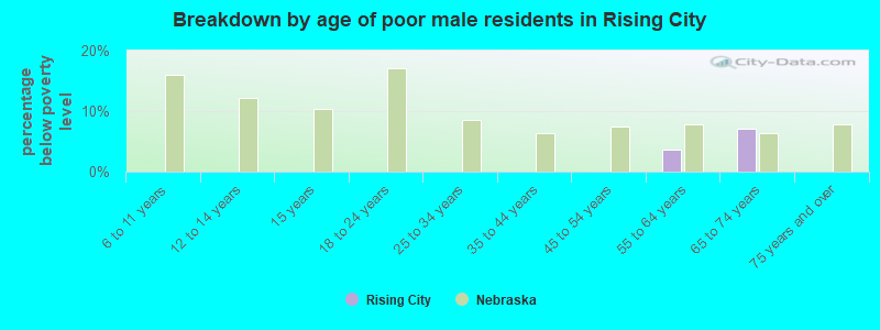 Breakdown by age of poor male residents in Rising City