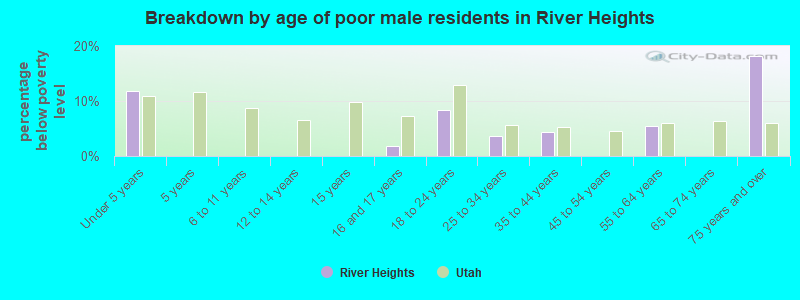 Breakdown by age of poor male residents in River Heights