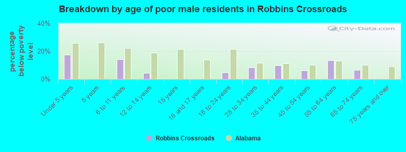 Breakdown by age of poor male residents in Robbins Crossroads