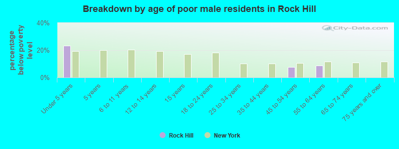 Breakdown by age of poor male residents in Rock Hill
