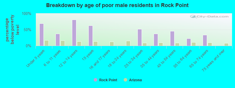 Breakdown by age of poor male residents in Rock Point