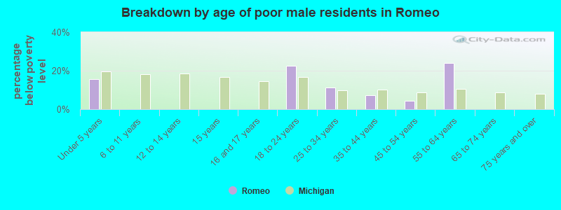 Breakdown by age of poor male residents in Romeo